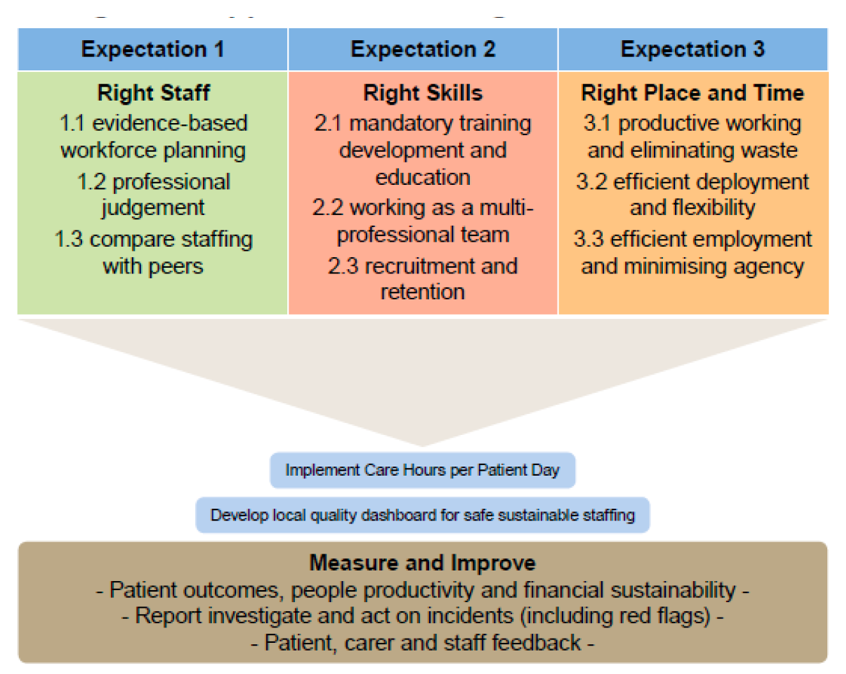 NHSI 3 components in safe staffing process.png