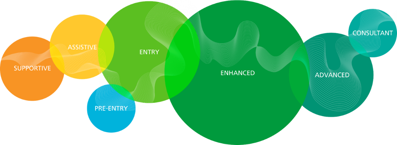 BDA levels of practice diagram