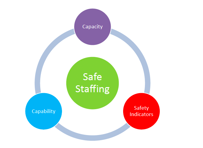 Figure 3 from BDA Safe Staffing guidance 2016.png